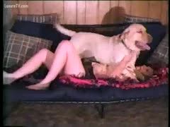The husband fulfills his need by witnessing his wife engage in beast sex.